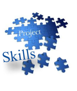 Complex IT Project Management