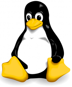 Linux IT Support